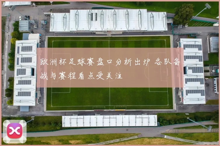 欧洲杯足球赛盘口分析出炉 各队备战与赛程看点受关注