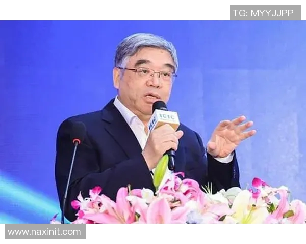 北京羽毛球队防反战术创新探讨与未来发展展望